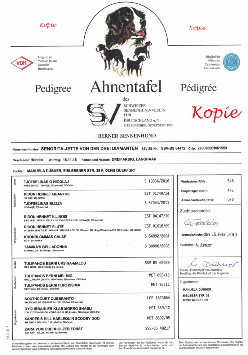 jette_ahnen Kopie